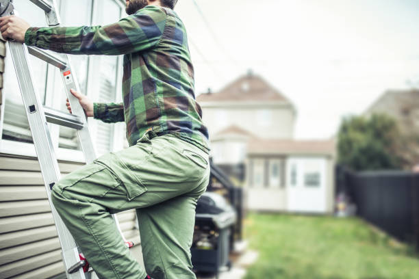 Best Siding Painting and Refinishing  in Roaming Shores, OH