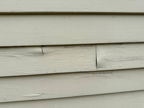 Roaming Shores, OH Siding Installation & Repair Company
